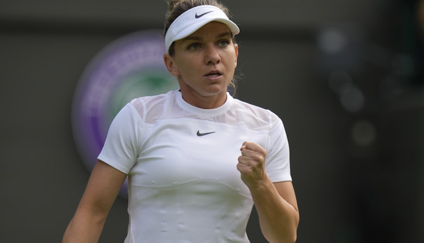 Fostul lider mondial are astfel ocazia să își prezinte argumentele. simona halep