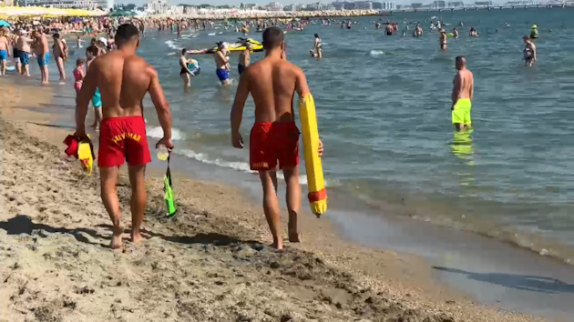 mare