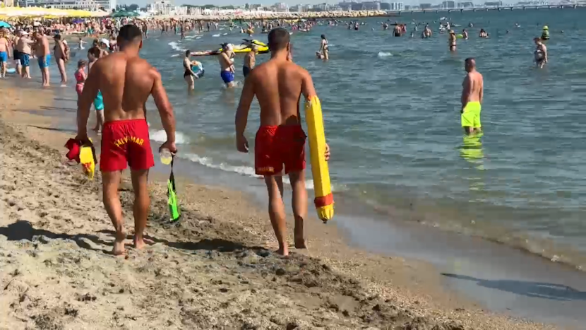 mare