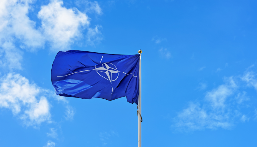Steagul NATO