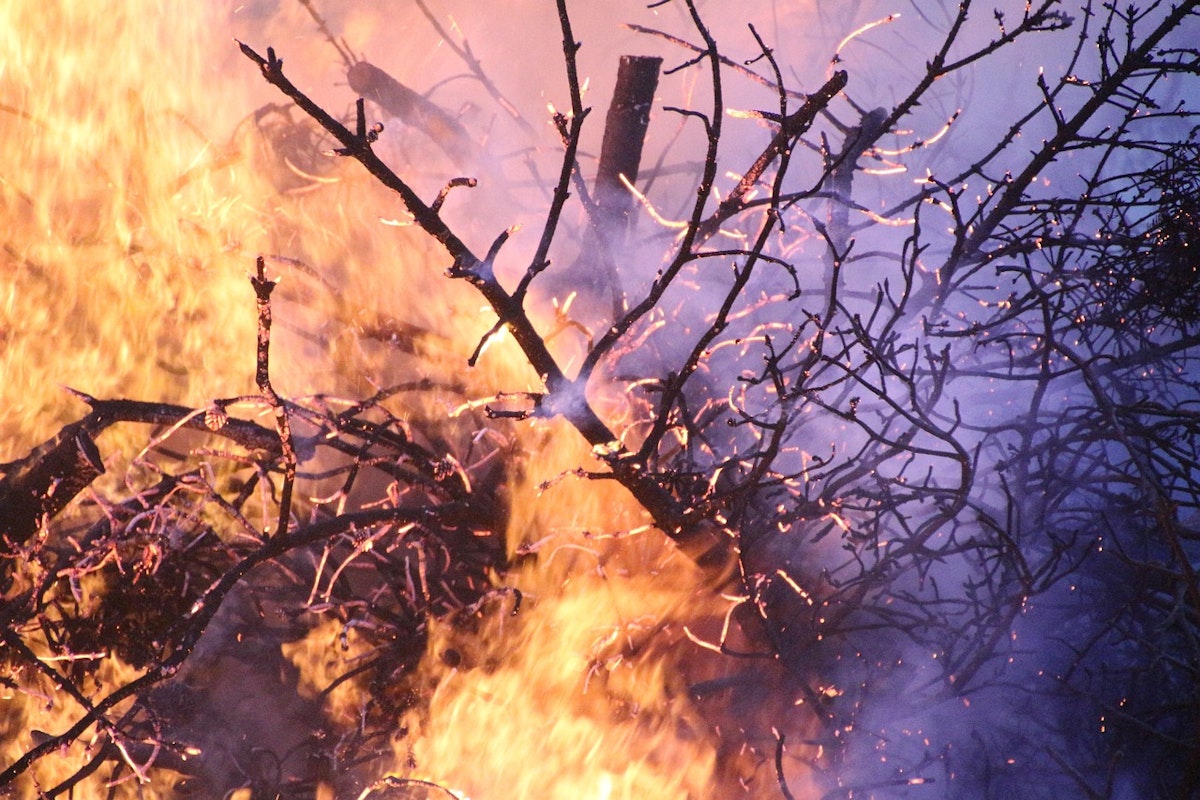 Portugalia activează mecanismul european de protecție civilă din cauza incendiilor de vegetație