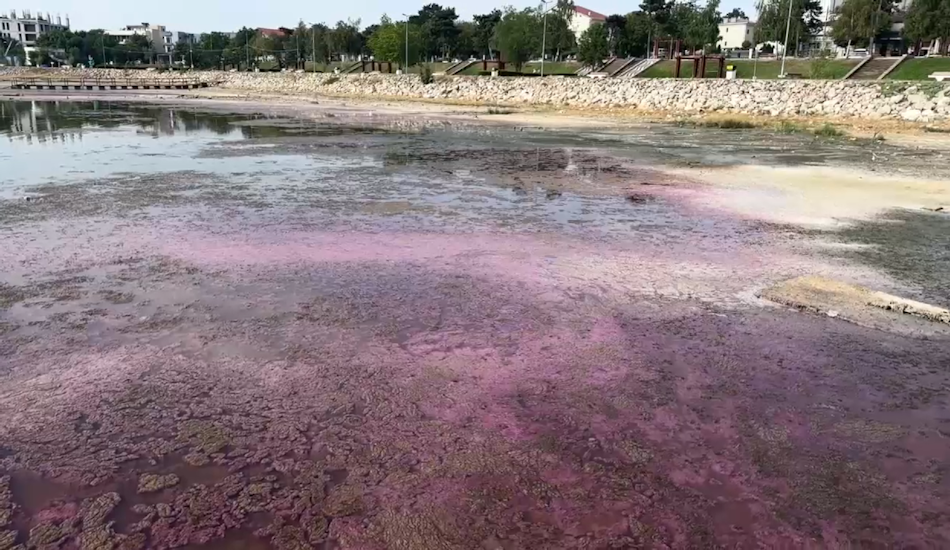 Lacul Techirghiol a devenit roz