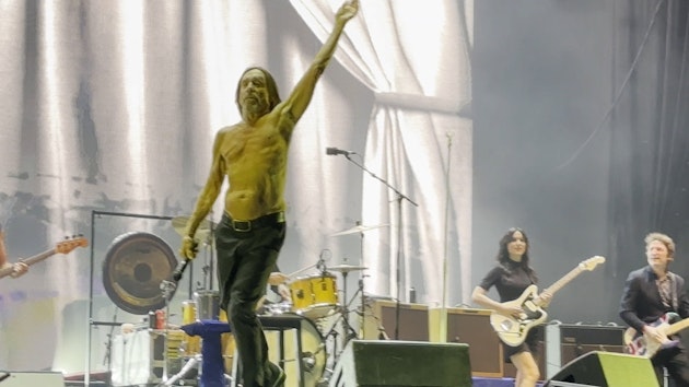 Iggy Pop
