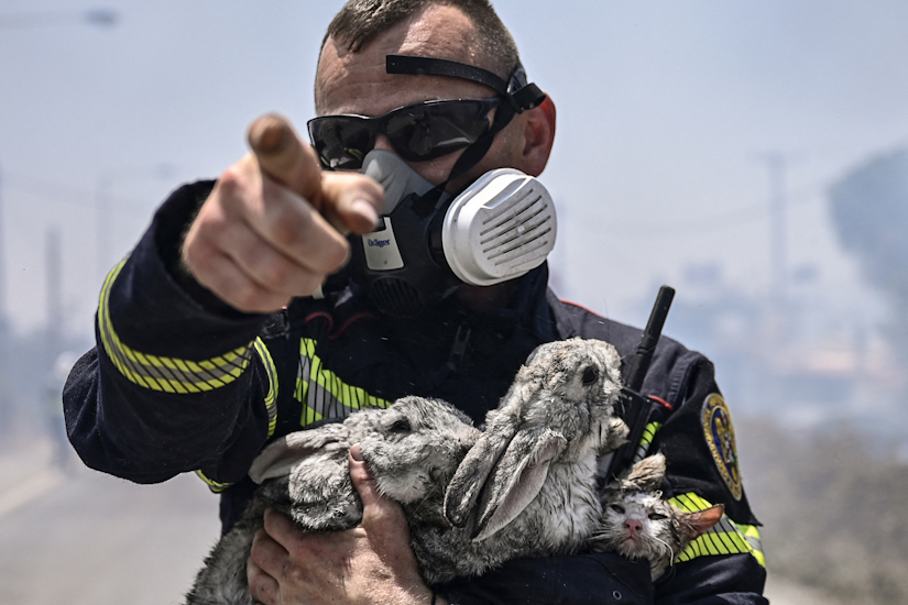 Pompier roman, cu doi iepuri si un pisoi in brate, intervenind la incendiile din Rodos, Grecia