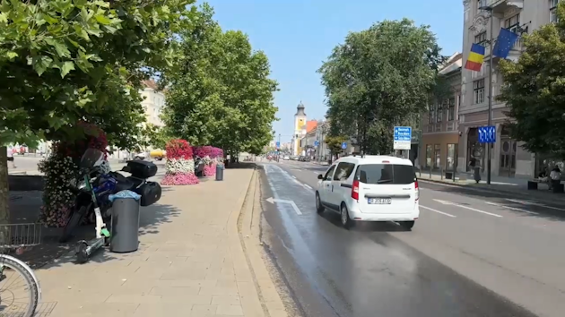 cluj-copaci