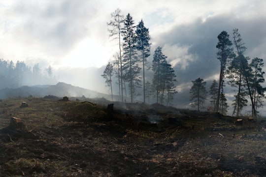incendii