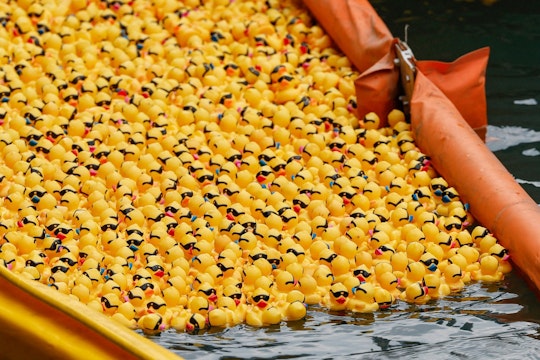 Duck Derby, pe râul Chicago.