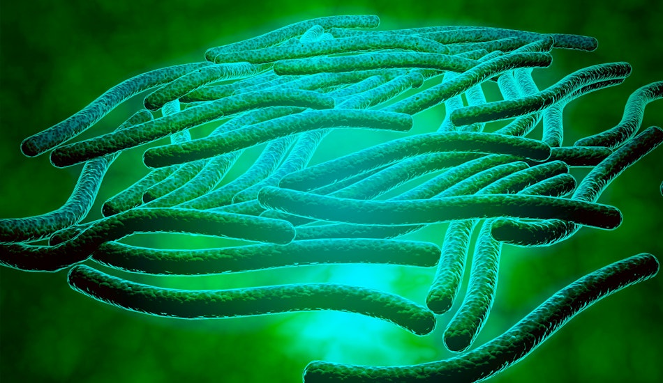 Legionella pneumophila, văzută la microscop