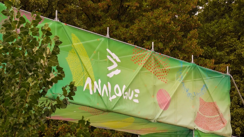 analogue festival