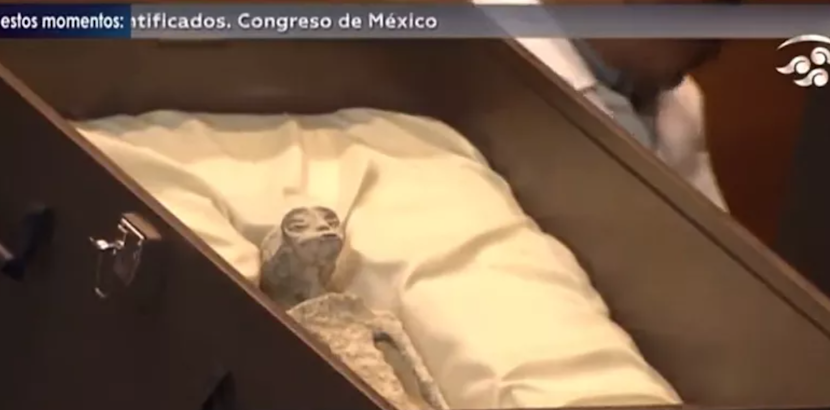 Unul dintre cadavrele fosilizate, prezentat Congresului mexican