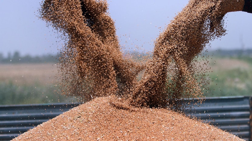 export cereale