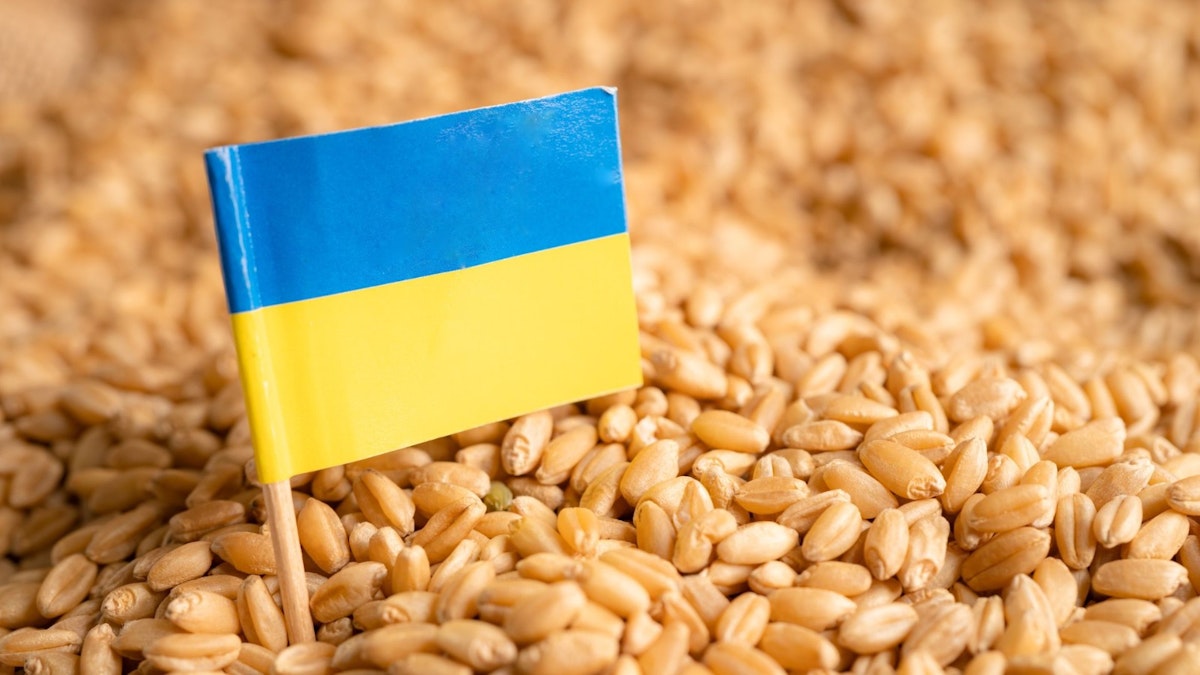 Importul de cereale, oprit temporar. Fermierii români cer sprijin pentru interzicerea importului de cereale din Ucraina