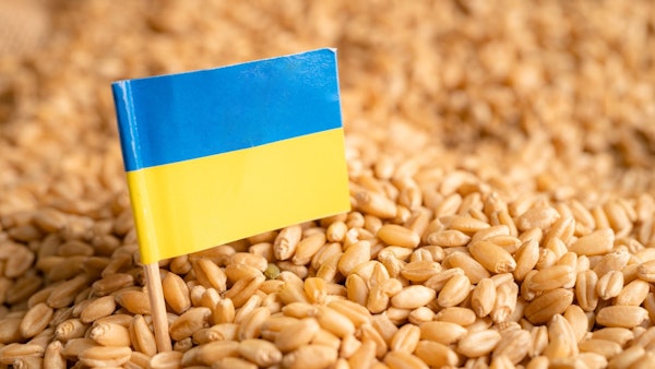 cereale ucraina