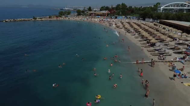 mare