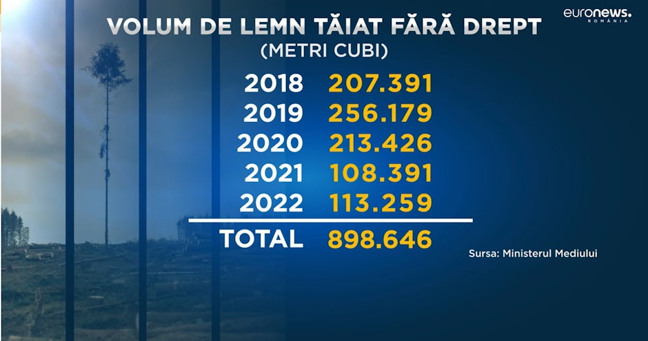 taiere lemne
