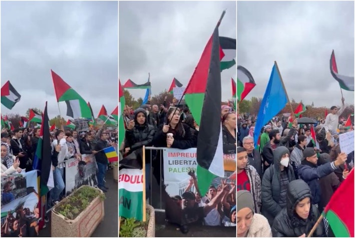 protest