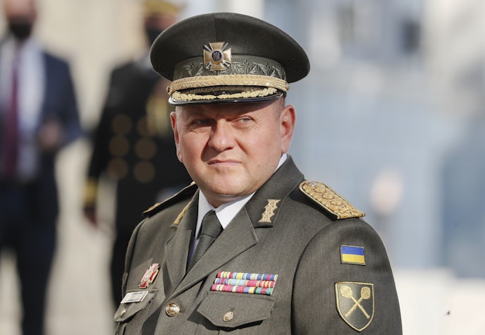 Valeri Zalujnîi