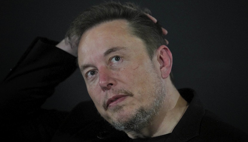 elon musk