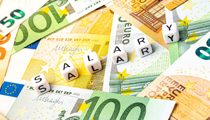Atunci când vine vorba de salarii și remunerații în statele membre ale UE, există încă diferențe semnificative