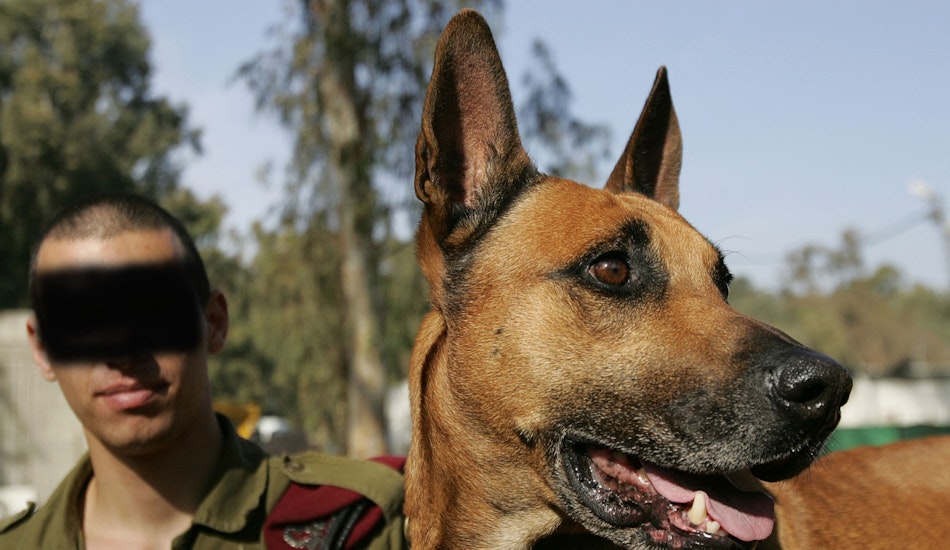 Israel - Hamas. Unitatea canina Oketz