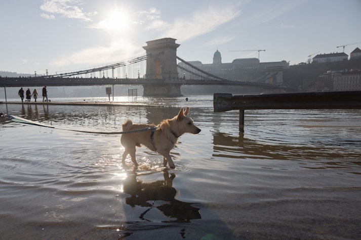 budapesta inundatii