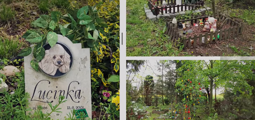Emil Boc anunță construirea unui cimitir pentru animale la Cluj-Napoca