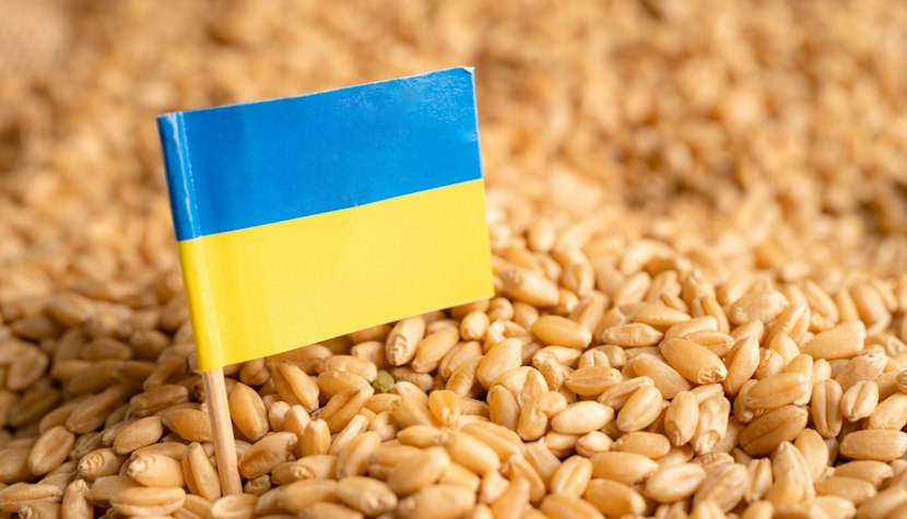 Negocierile între Rusia și Ucraina au eșuat