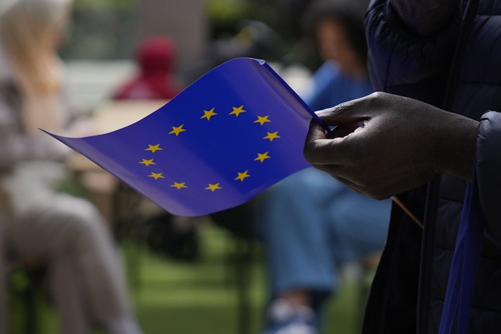 stegulet uniunea europeana