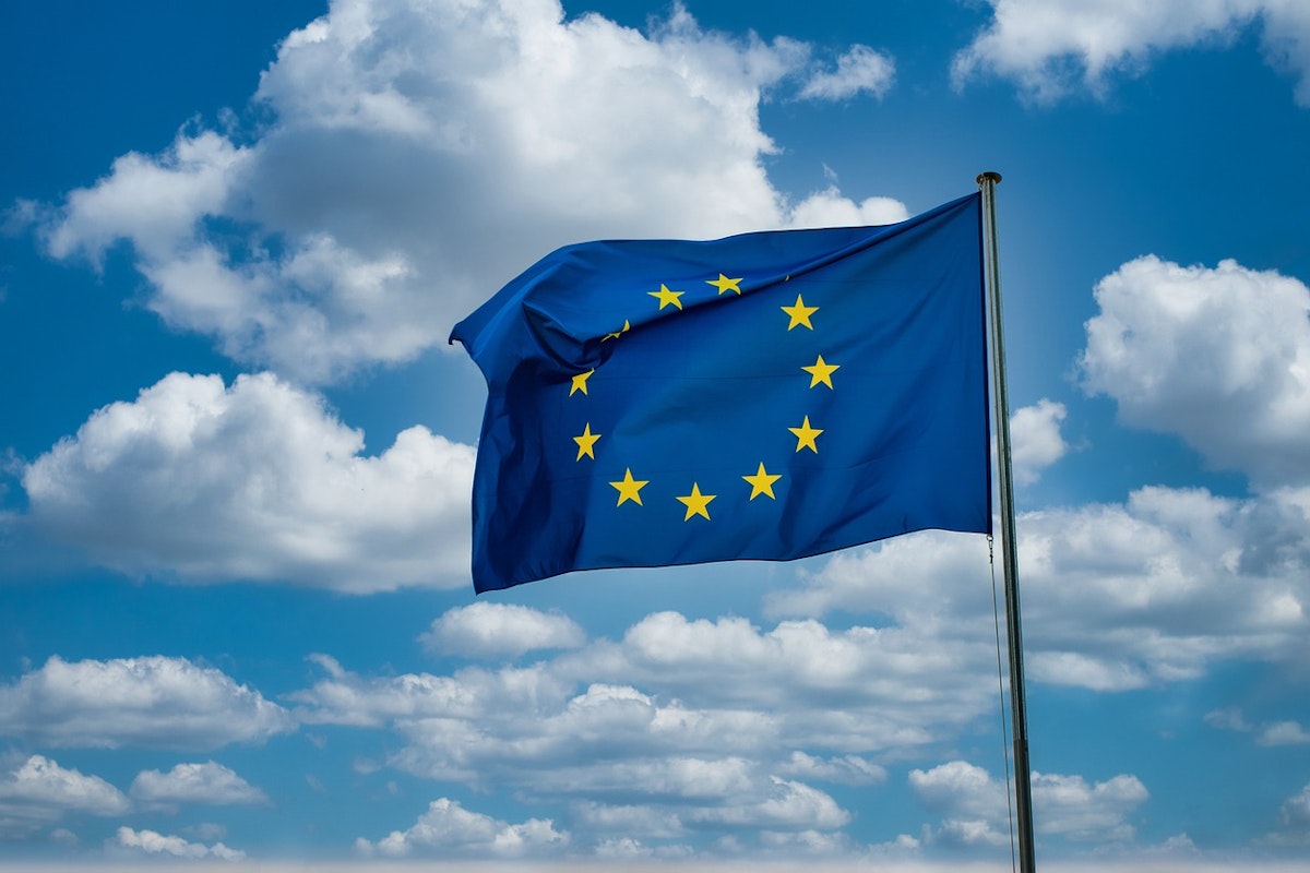 Parlamentul European pregătește procedura de retragere a finanțării partidului european al AfD