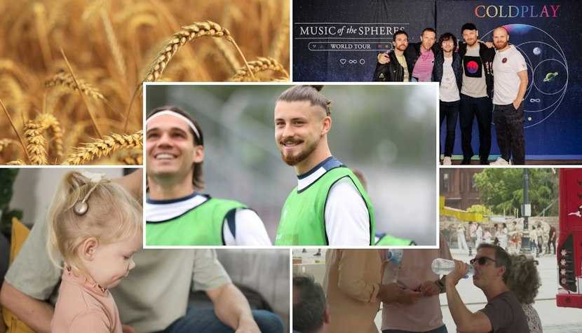 Cinci articole cu care să închei ziua