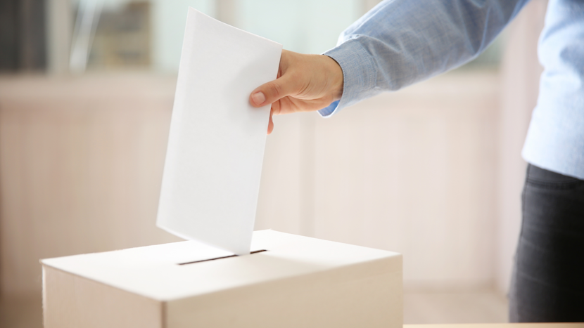 buletin de vot introdus in urna