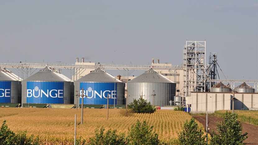Bunge