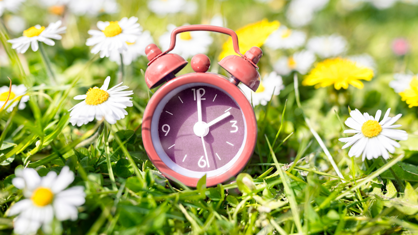 ceas printre flori