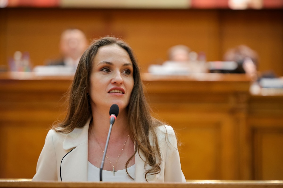 Oana Țoiu reafirmă solidaritatea europeană după doborârea dronelor ilegale