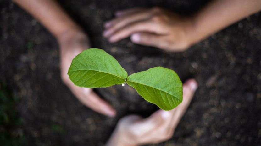 natura