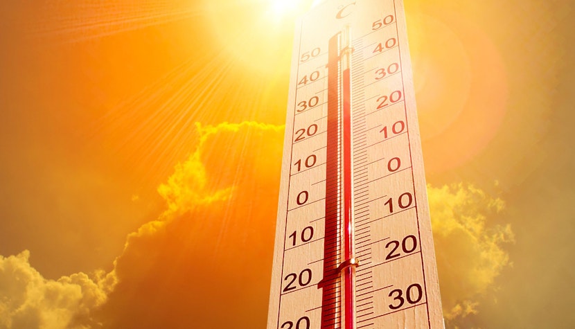 Temperaturi maxime de 43 de grade Celsius canicula