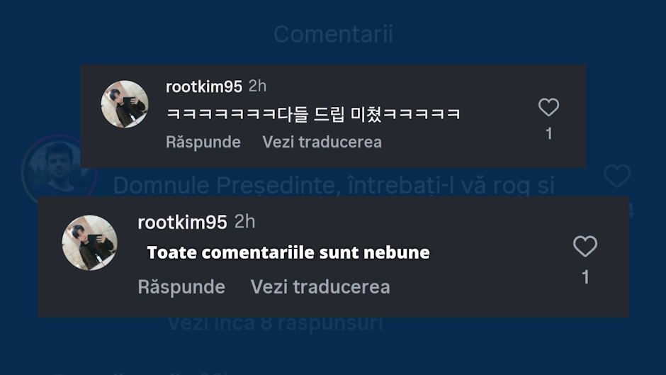 Colaj foto cu un comentariu de pe Instagram și traducerea lui