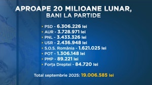 Câți bani au primit partidele