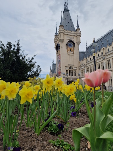 Palatul Culturii - Iasi