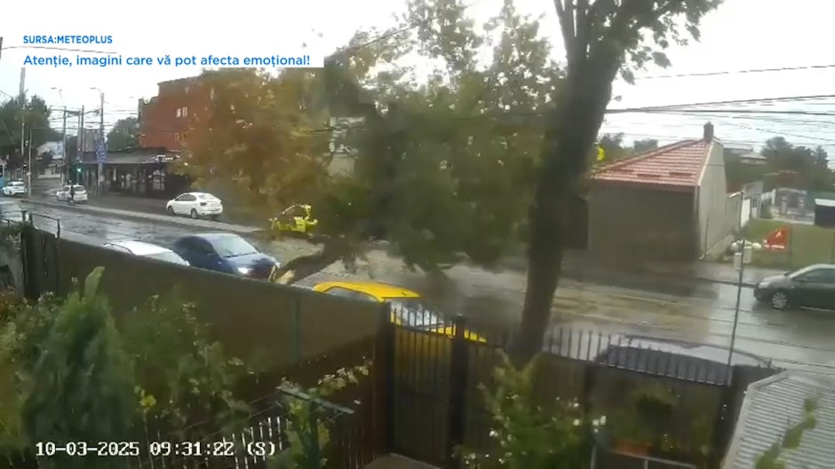 Momentul în care copacul doborât de vânt s-a prăbușit peste o mașină