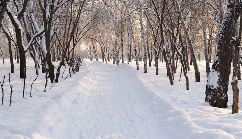 Vreme rece cu ninsori