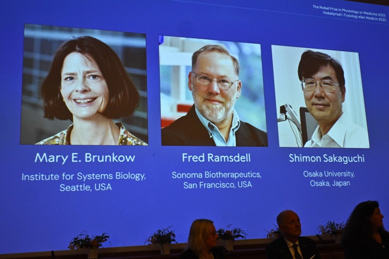 Premiul Nobel pentru Medicină, câștigat de Mary E. Brunkow, Fred Ramsdell și Shimon Sakaguchi