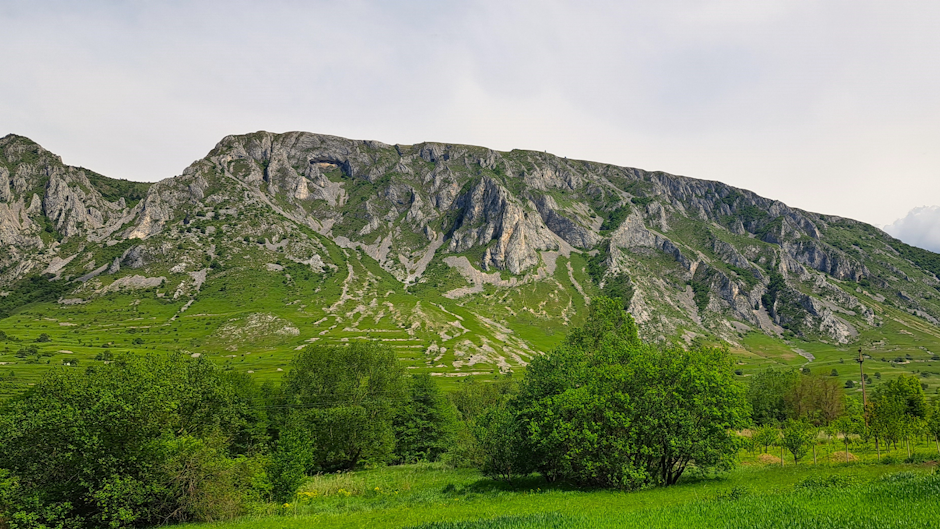 peisaj de munte, văzut dintr-o zonă de câmpie