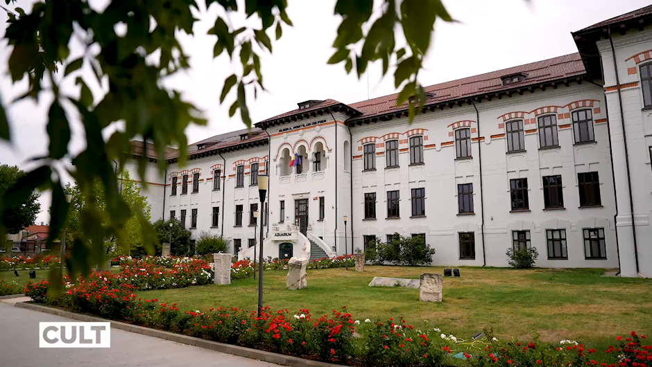 exteriorul muzeului Regiunii Porților de Fier din Drobeta
