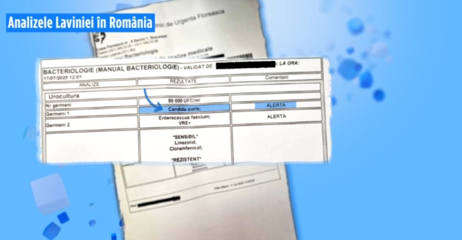Rezultate medicale de laborator ale Laviniei, pacienta cu Candida auris și Enterococcus faecium