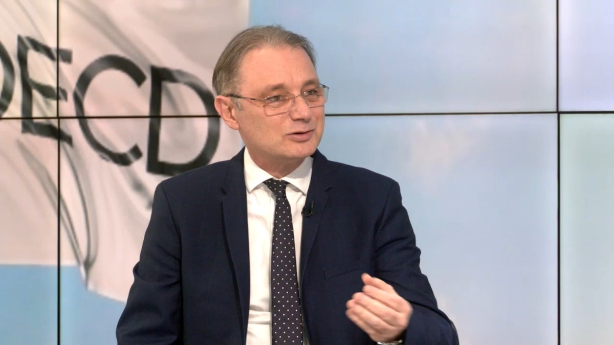 România, tot mai aproape de OCDE. Luca Niculescu: Este a treia ancoră solidă pentru România