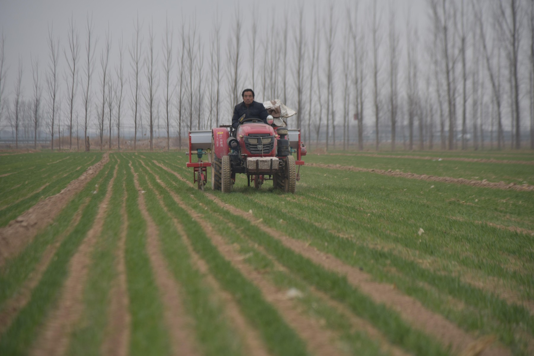 Creșterea alarmantă a prețurilor cerealelor și uleiului