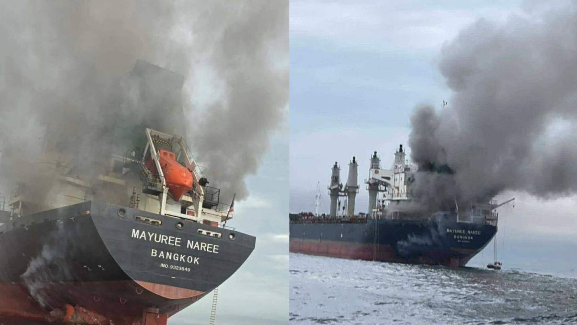 Golful Persic în Pericol: Avertizare Greenpeace despre Ecologie