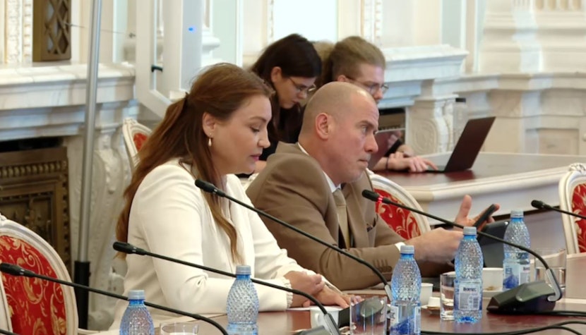 Corina Raluca Încroșnatu Corina Raluca Încroșnatu
