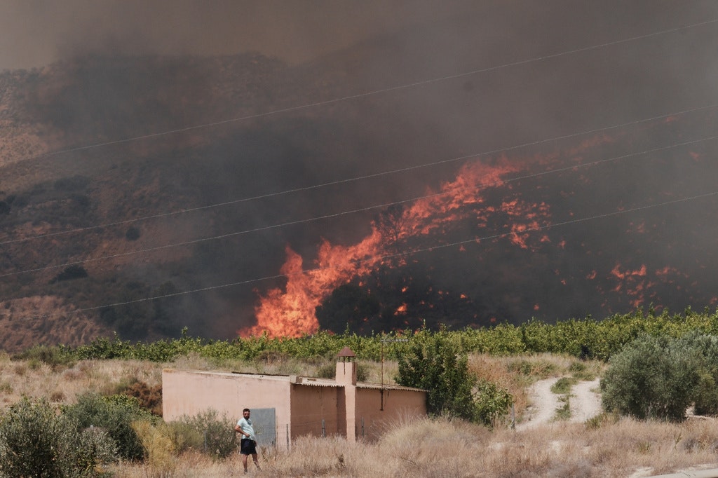Româncă din Spania: Incendiile de vegetație din Andaluzia au surprins turiștii și au schimbat direcția focului spre zone locuibile